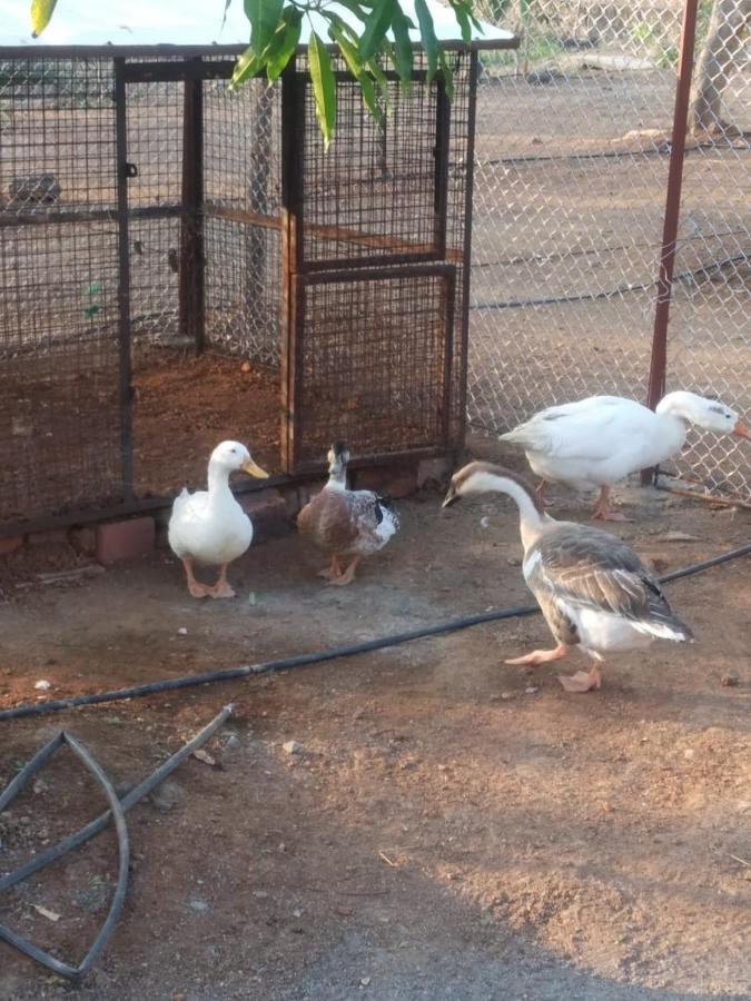 Bimalfarm At Koroli Hills Villa Igatpuri Eksteriør billede